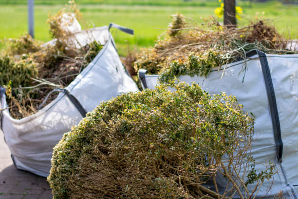 Best Full-Service Junk Removal  in Collinwood, TN
