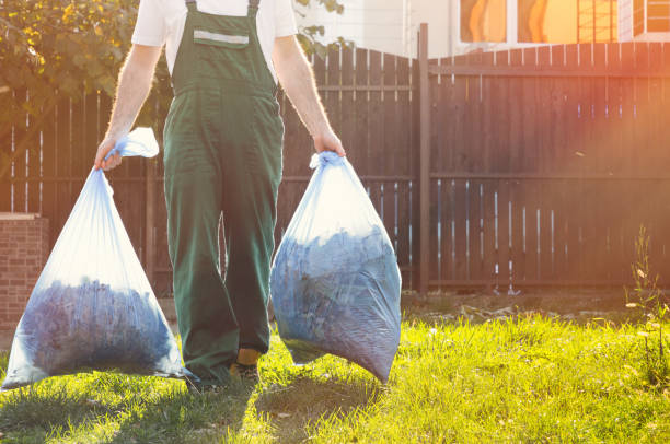 Best Office Junk Removal  in Collinwood, TN